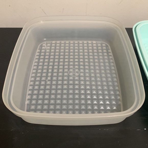 Tupperware Marinator Season N Serve Tenderizer 1295-2 Mint Green Frosted Lid VTG - Picture 3 of 12